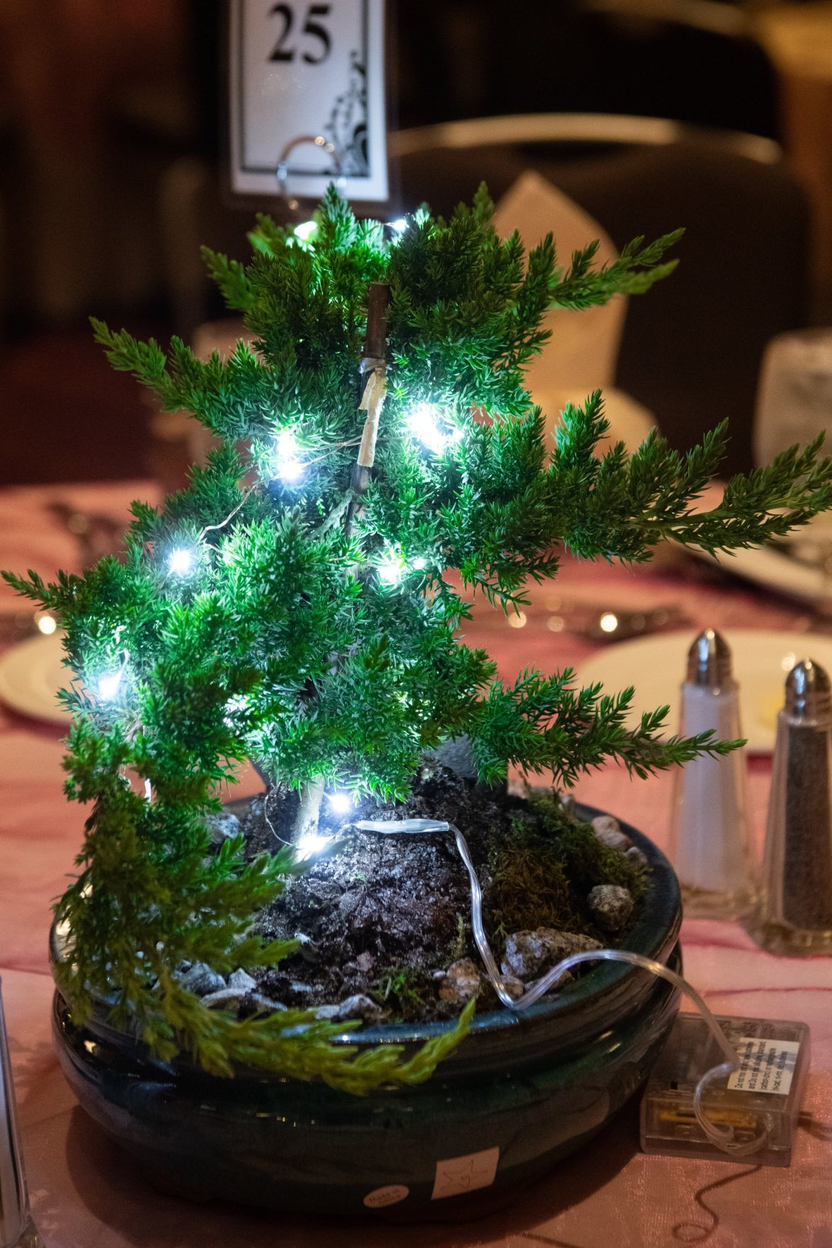 Fete du Feather Gala and Auction
